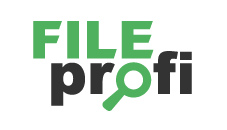 FileProfi - профессиональное восстановление данных в Арзамасе
